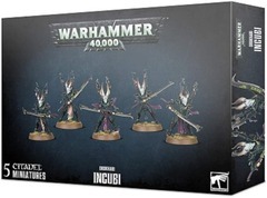 Warhammer 40k Drukhari Incubi